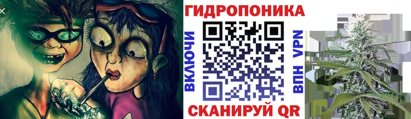 Как найти закладки Юрьев-Польский А ПВП МЕФ COCAIN Гашиш Канабис