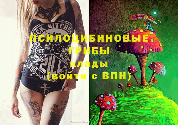 мдпв Бежецк