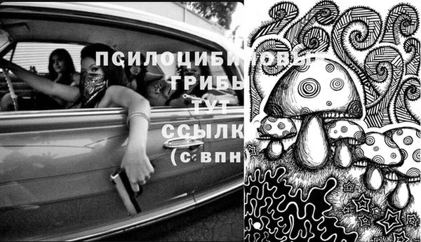 прущие крисы Няндома