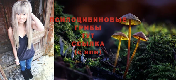прущие крисы Няндома