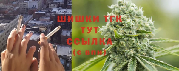 прущие крисы Белая Холуница