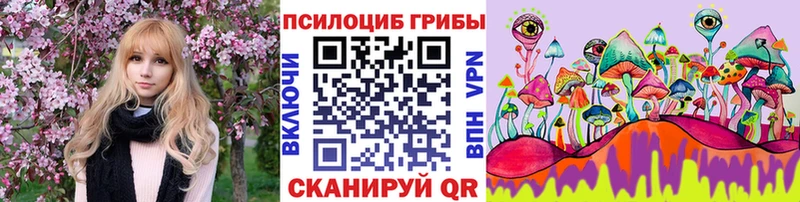 Псилоцибиновые грибы прущие грибы  купить  сайты  Юрьев-Польский 